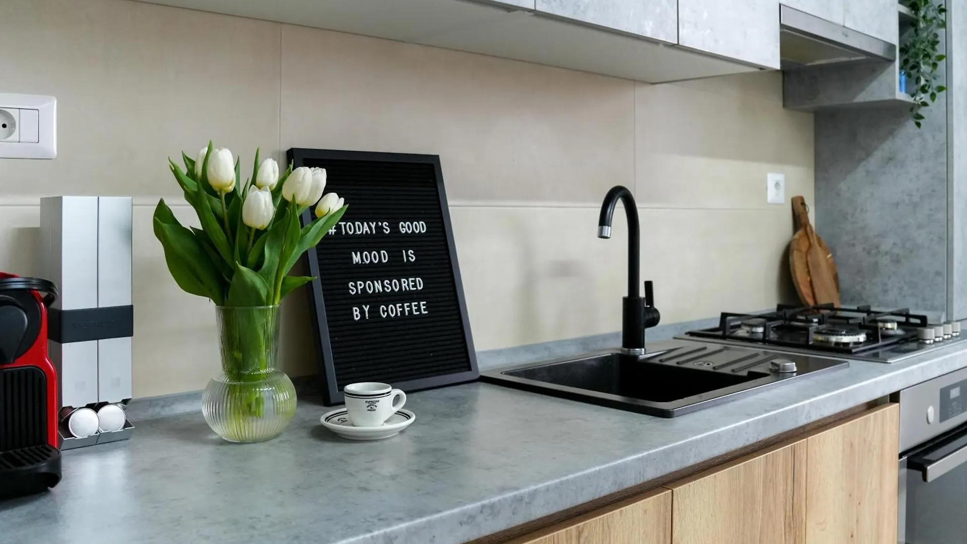 Amalia - Quiet 1Br Apartment With Parking & Wi-Fi Bucharest 0*,  Romania